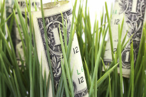 Green grass and one dollar bills